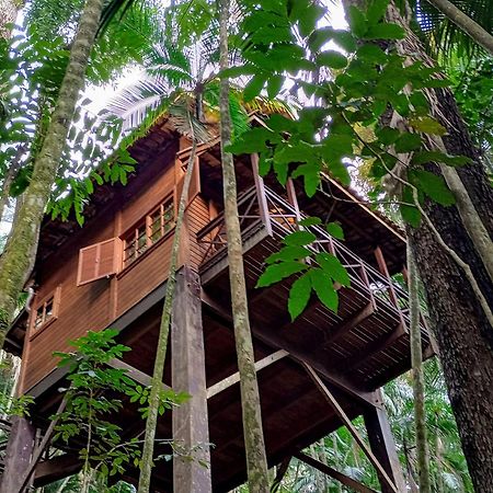 Eco Resort Nagual เซาเปโดรดาเซร์รา ภายนอก รูปภาพ